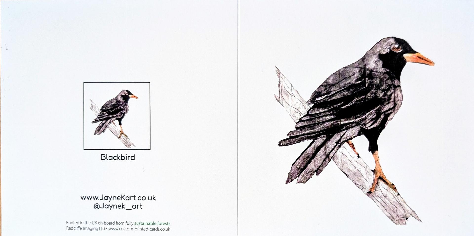 Blackbird