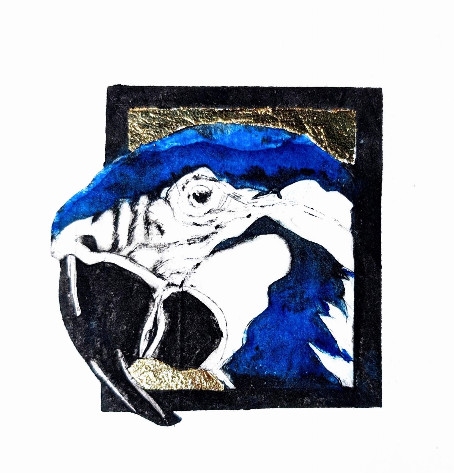 Blue Parrot