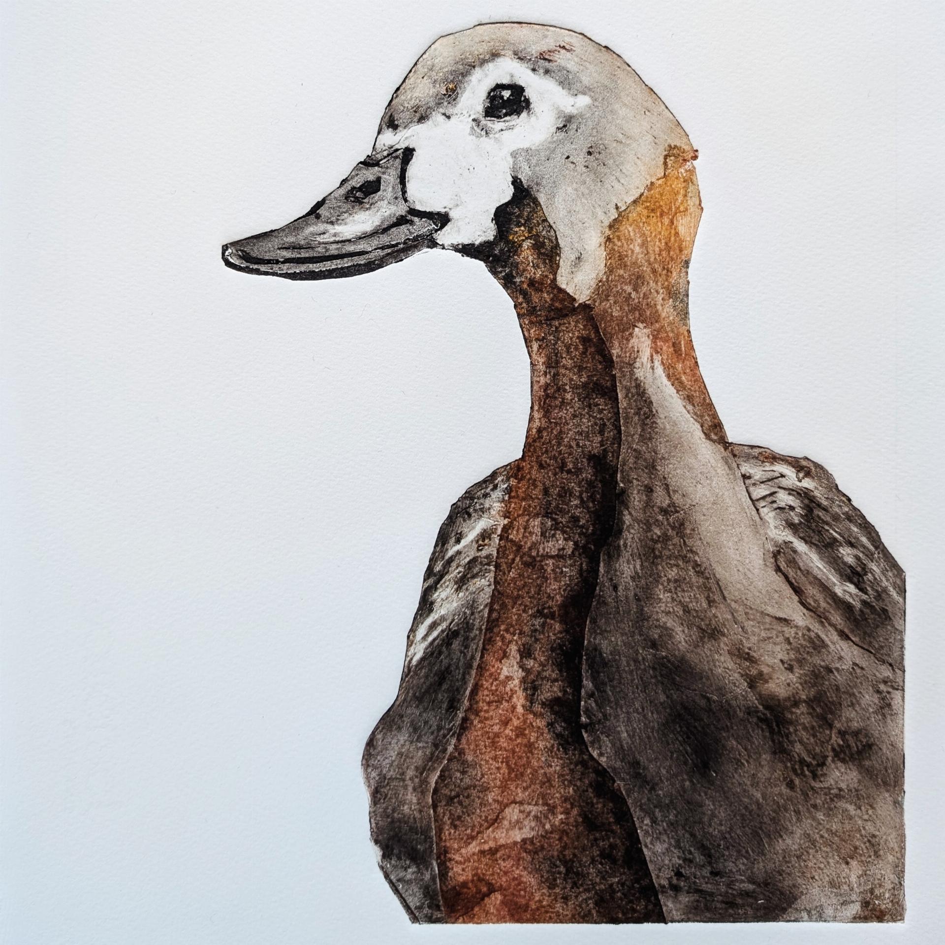 Loire Duck