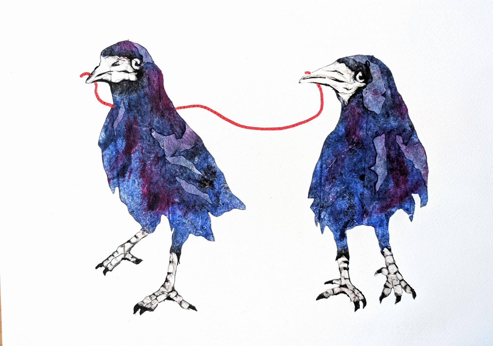 Crows playing with string